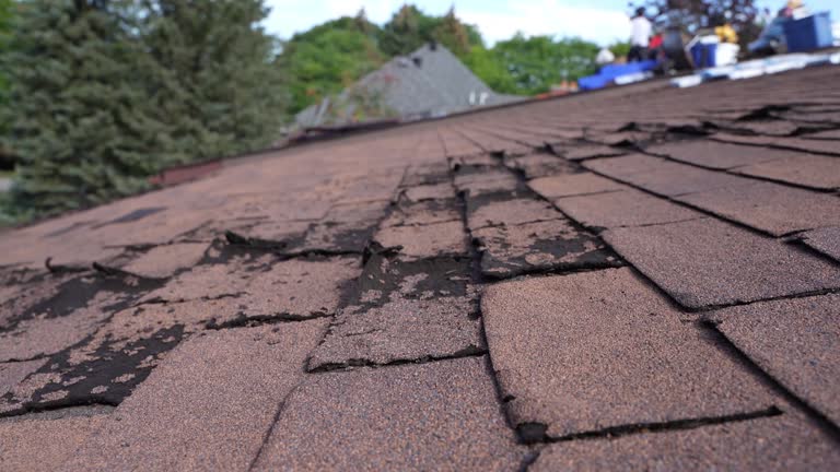 Best Cold Roofs  in Lighthouse Point, FL
