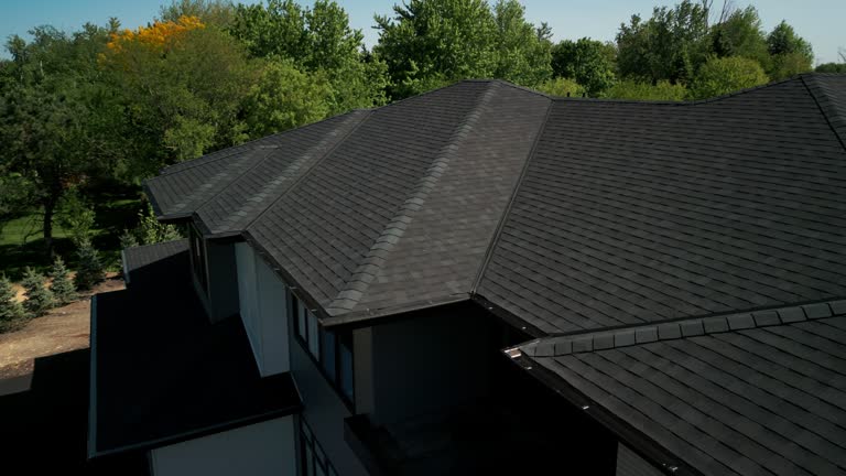 Best Roof Insulation Installation  in Lighthouse Point, FL