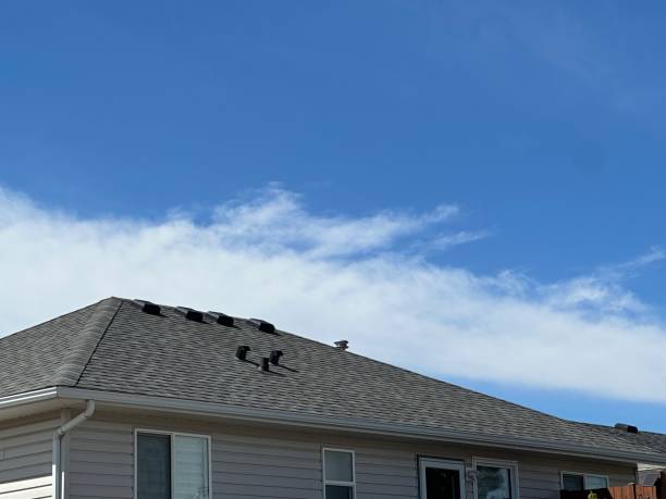 Best Roof Moss and Algae Removal  in Lighthouse Point, FL